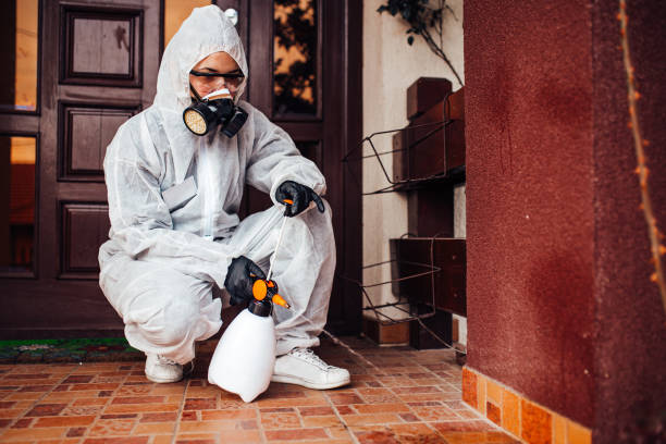 Reliable Ant Control contractor in Ormond Beach, FL by Nex Pest Control
